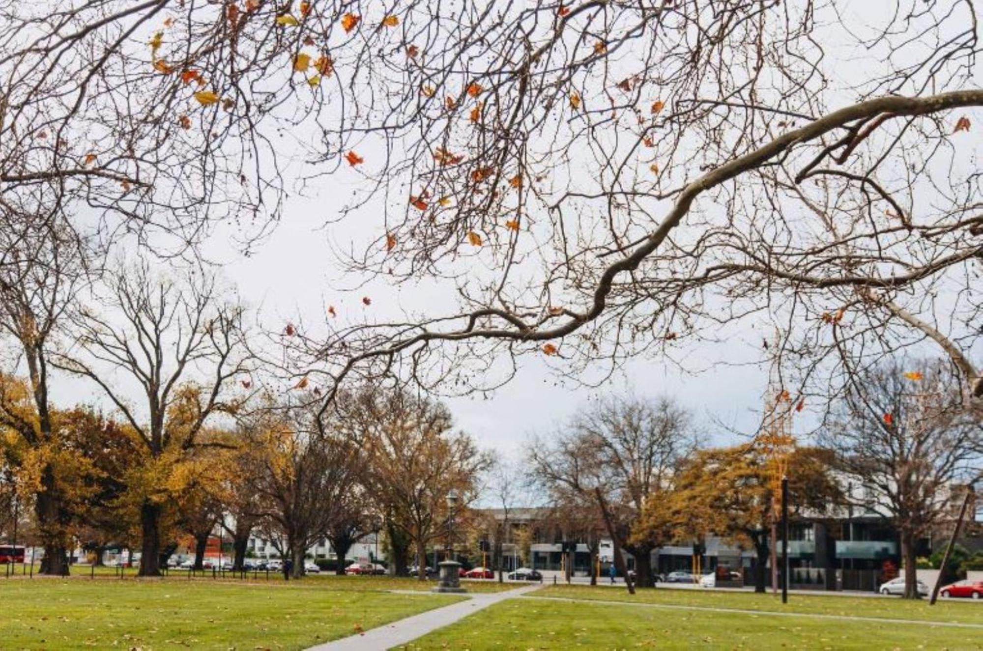 Inner City Delight Walk To Cathedral Square Christchurch Ngoại thất bức ảnh